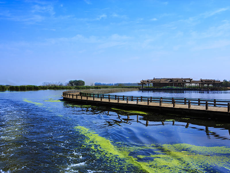 Case-Shaoxing-Binhai